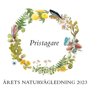 logotyp årets naturvägledning