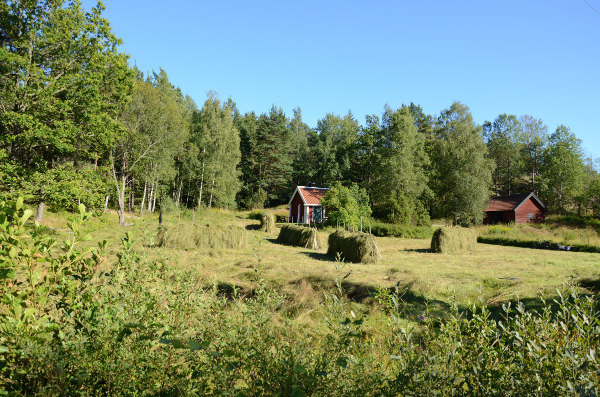 Ahlstorps båtsmanstorp ligger i Alby naturreservat, cirka 800 meter norr om friluftsgården.
