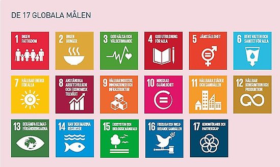 De 17 globala målen i Agenda2030